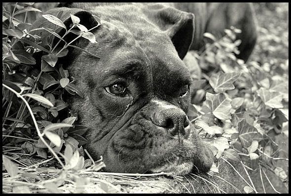 IMAGE: http://i40.photobucket.com/albums/e217/23445/paintshop/IMG_6778.jpg