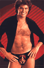 hasselhoffian-recursion.gif hasselhoff image by rocusman