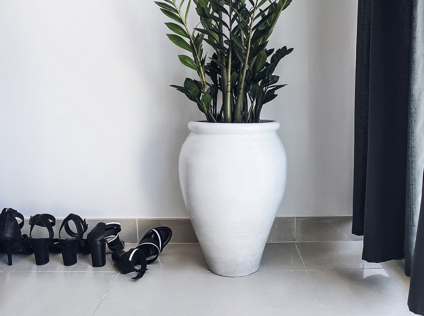 photo DIYGradientPlanter_zpsbn2oymzs.jpg