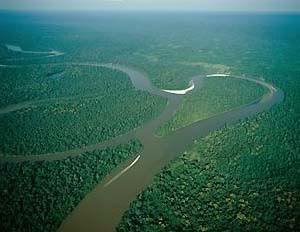 Amazon River Pictures, Images and Photos