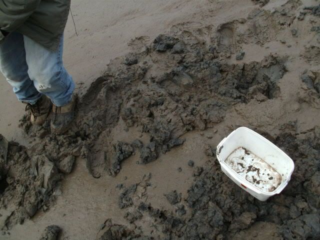 fishing arnside report