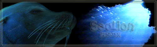 sealionbubfinanim.gif