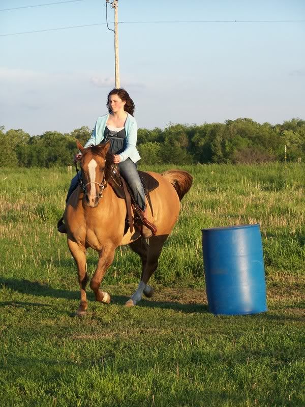 Equine-Reproduction.com Bulletin Board: 2009 Pregnant Mare Part 3 Equine-Reproduction.com Bulletin Board: 2009 Pregnant Mare Part 3
