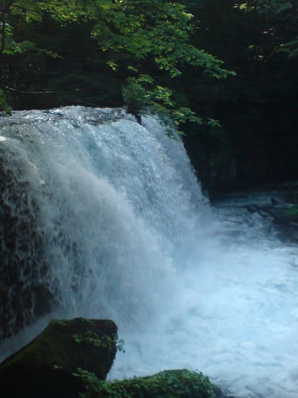 fave falls fave falls