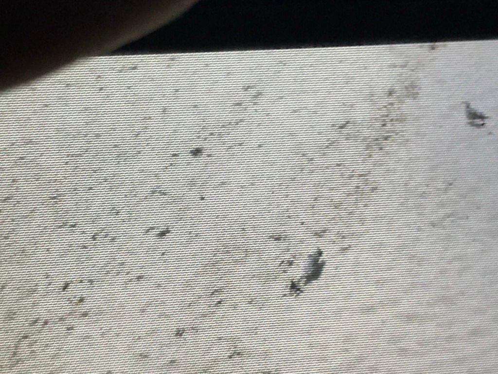 6C0F3450-4B5C-4EED-88FB-79C2D2460367_zps