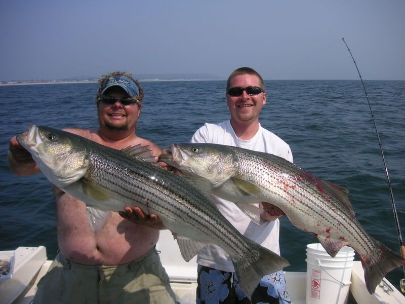 striper report 7/10 (pics) New Jersey Hunters