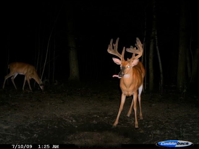 CDY_0218.jpg