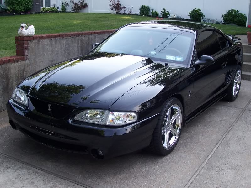 Cobra R Hood Pics Ford Mustang Forums Corral Net Mustang Forum