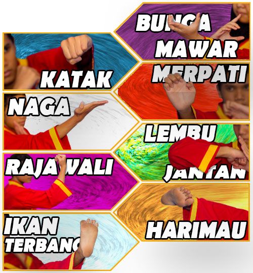 8 Jurus Tapak Suci