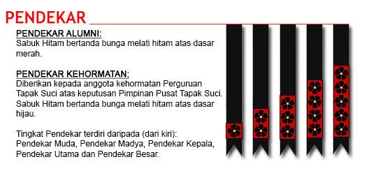 Tingkat 

Pendekar