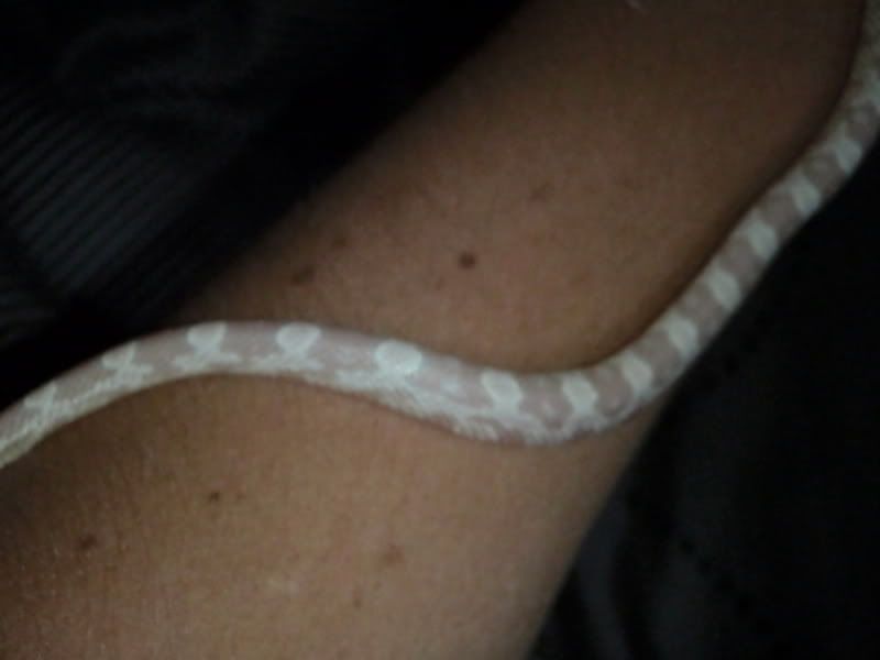 PB010008.jpg