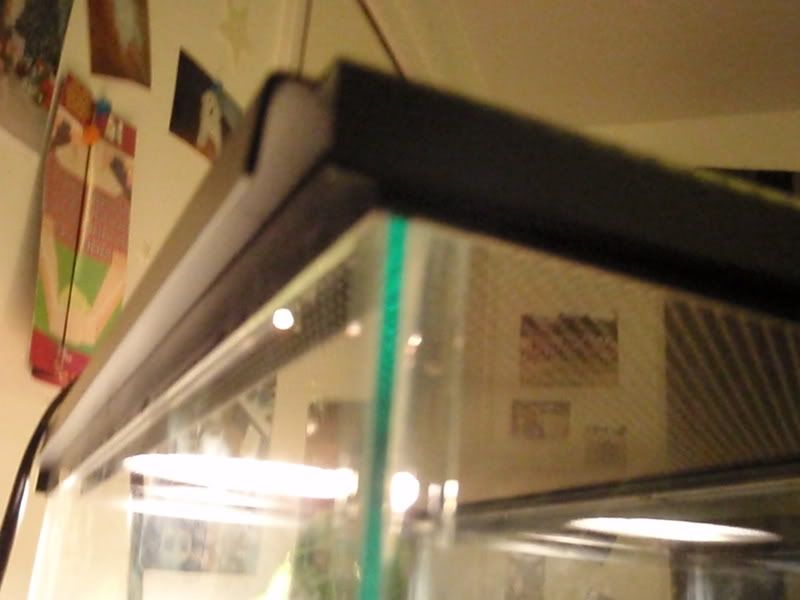 PB0100142.jpg