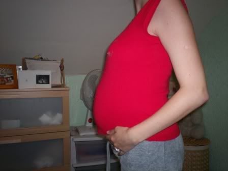 Image hotlink - 'http://i40.photobucket.com/albums/e224/kirstinmcguigan/100_0314-1.jpg' Image hotlink - 'http://i40.photobucket.com/albums/e224/kirstinmcguigan/100_0314-1.jpg'