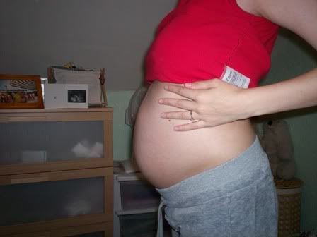 Image hotlink - 'http://i40.photobucket.com/albums/e224/kirstinmcguigan/100_0316-1.jpg' Image hotlink - 'http://i40.photobucket.com/albums/e224/kirstinmcguigan/100_0316-1.jpg'