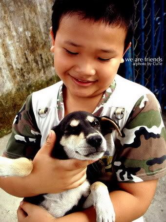 Photo Sharing and Video Hosting at Photobucket