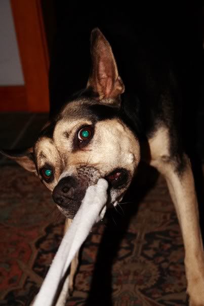 IMAGE: http://i40.photobucket.com/albums/e225/jesseembalmer/n201001458_30022461_4757.jpg