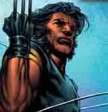 Wolverine Avatar