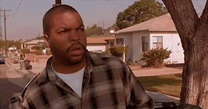 Friday-1_zps5aa5cb0e.gif