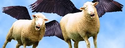 rabid lambs cjnyc