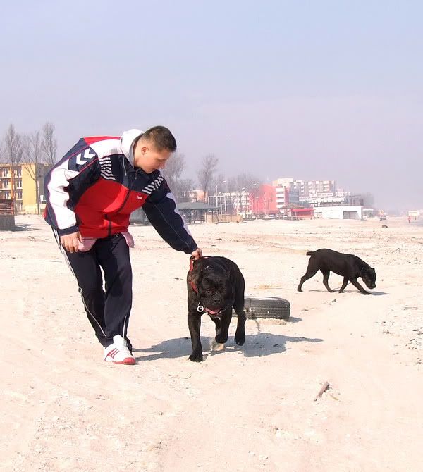 Качена снимка