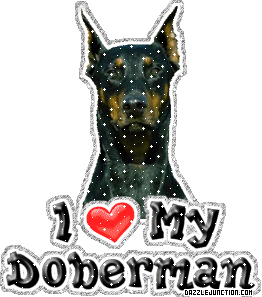 I Love my Doberman