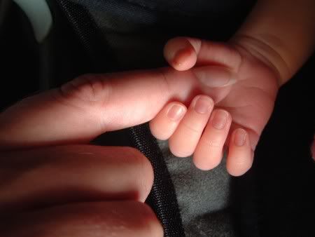 baby hand photo Parent_and_baby_hands.jpg