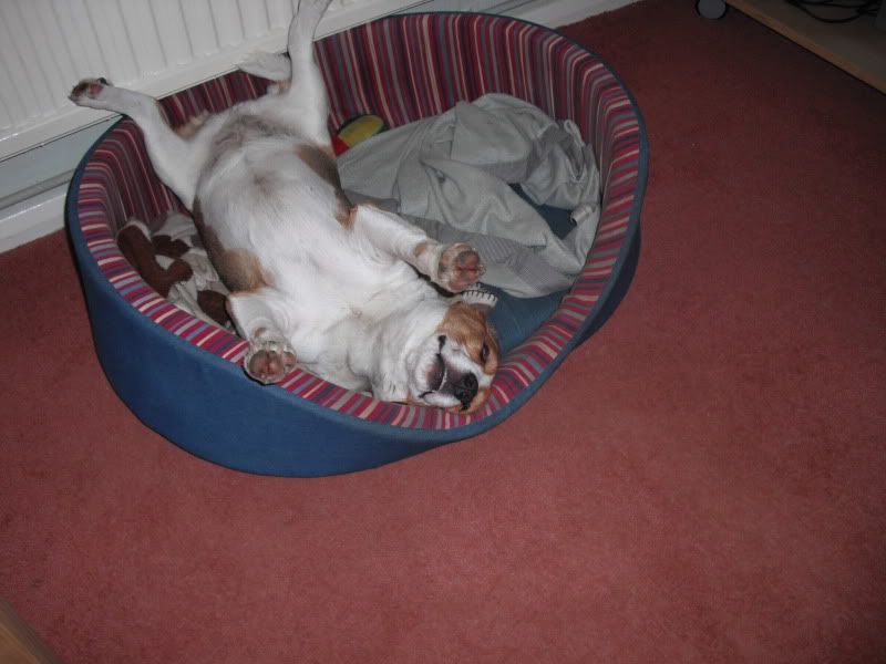 2009_0825steph0029.jpg