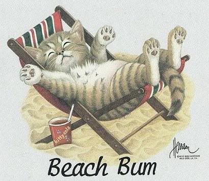 Cat Beach Bum Pictures, Images and Photos