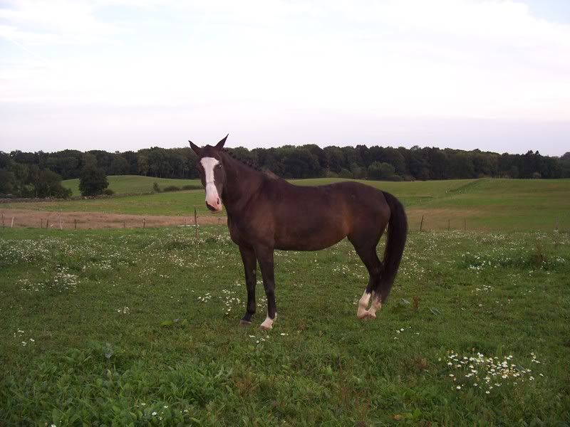 080906009.jpg