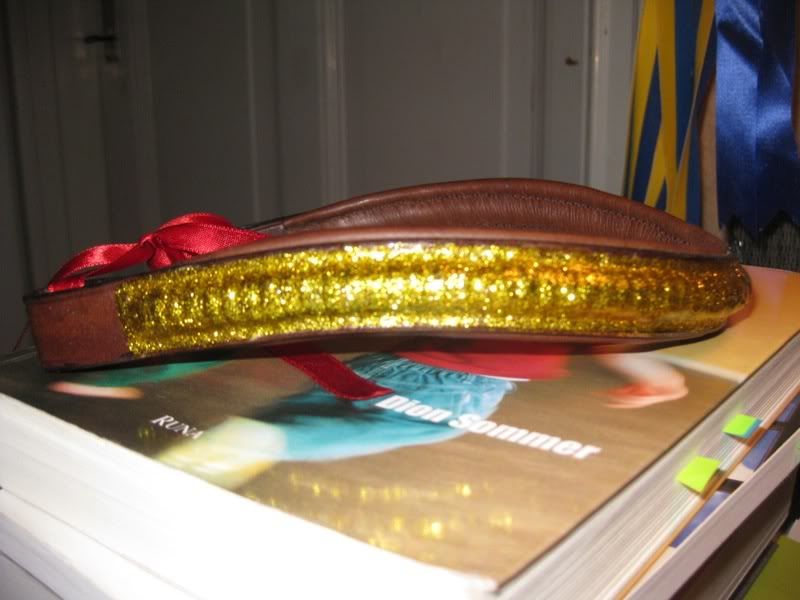 27jan09001.jpg