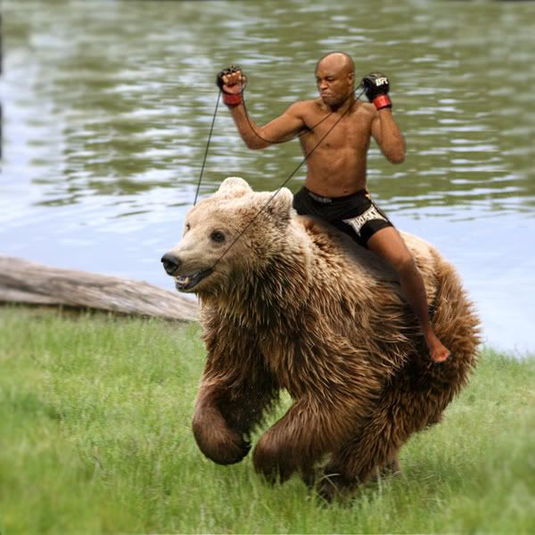 bear2anderson.jpg
