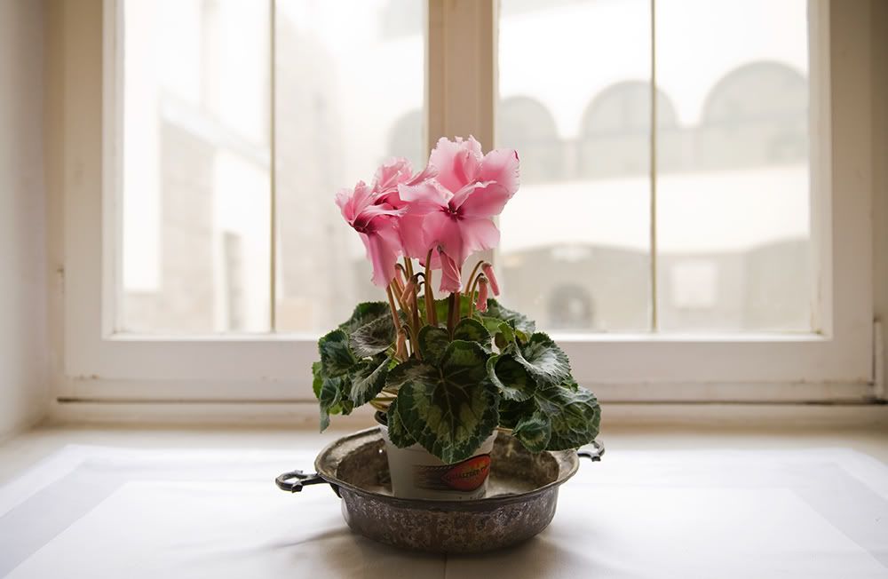 гор не будет Photobucket