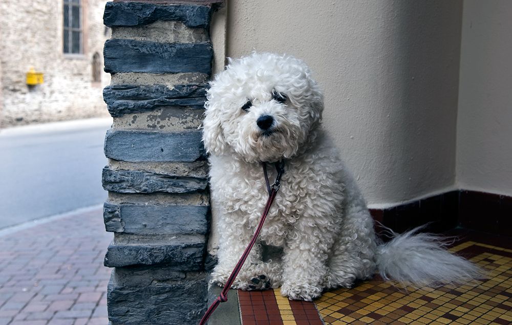 Vianden Photobucket