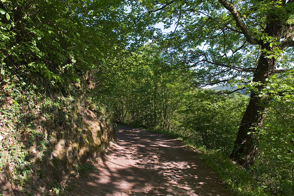 Vianden Photobucket