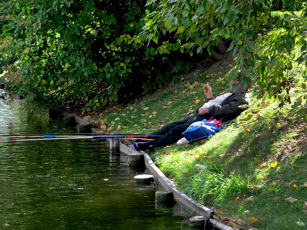 Воронцовский парк - приятное удивление Photobucket
