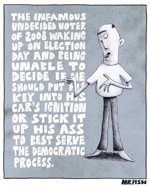 undecided voter