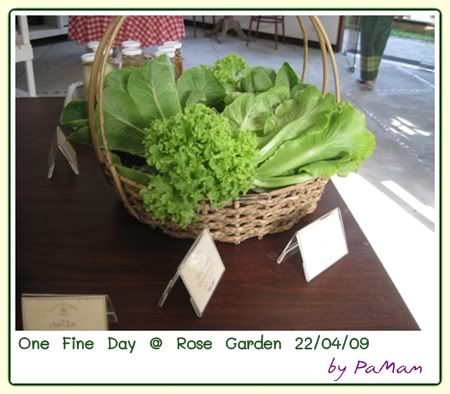 ยามเย็น ที่ Rose Garden