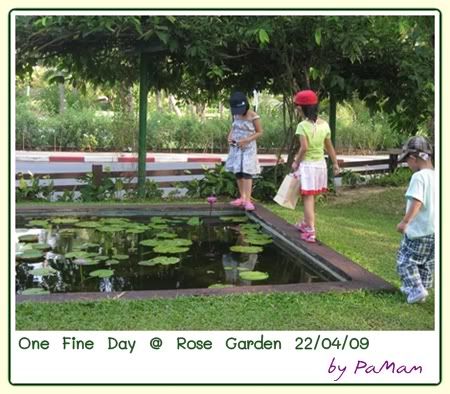 ยามเย็น ที่ Rose Garden