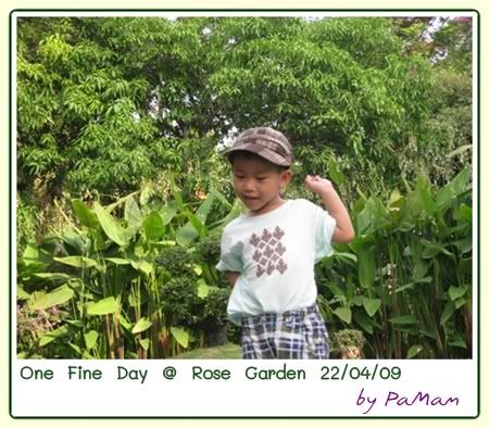 ยามเย็น ที่ Rose Garden