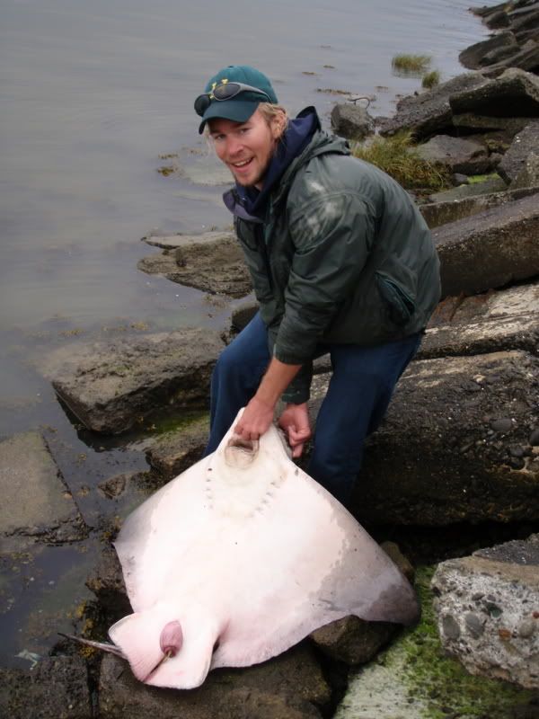 Humboldt Bay Leopard Shark Fishing