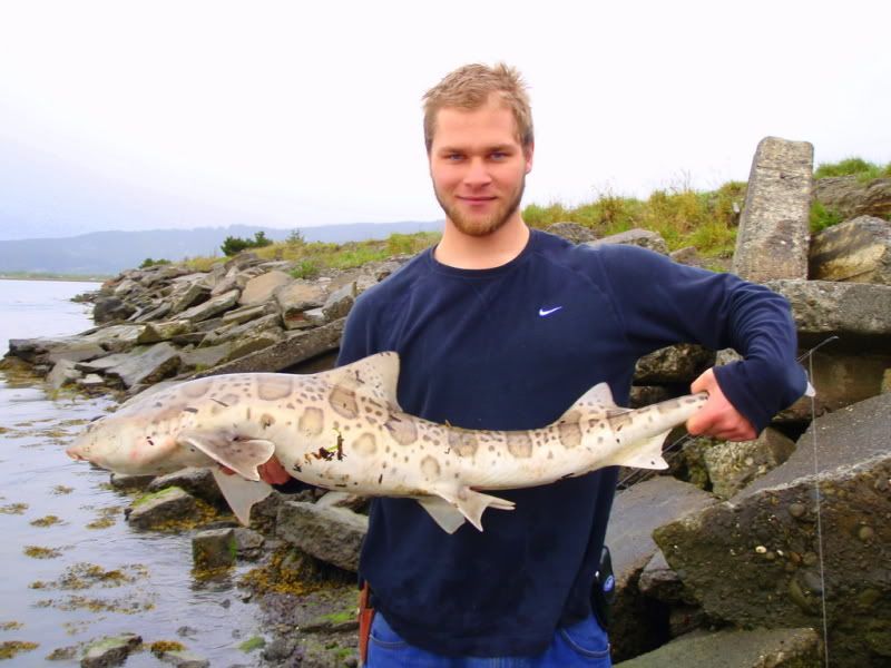 Humboldt Bay Leopard Shark Fishing (January 2023)