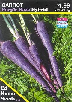 purple haze carrot