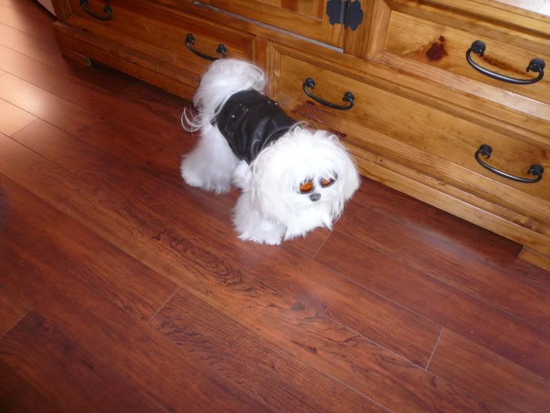 DooLittle050.jpg