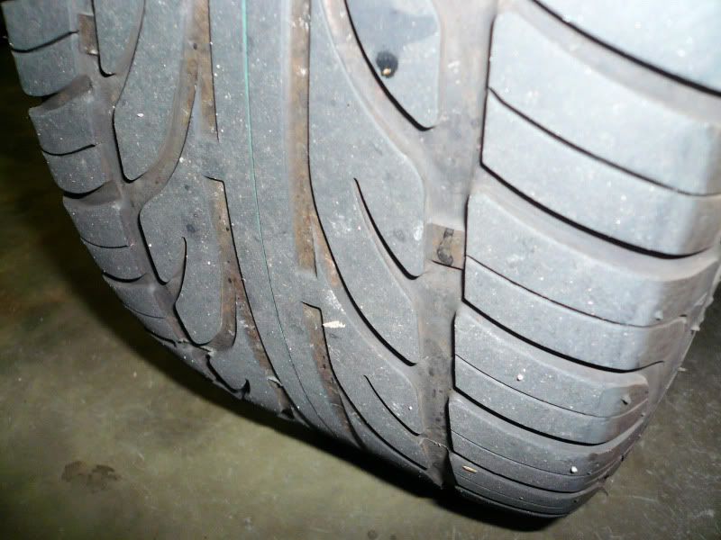 P1050019.jpg
