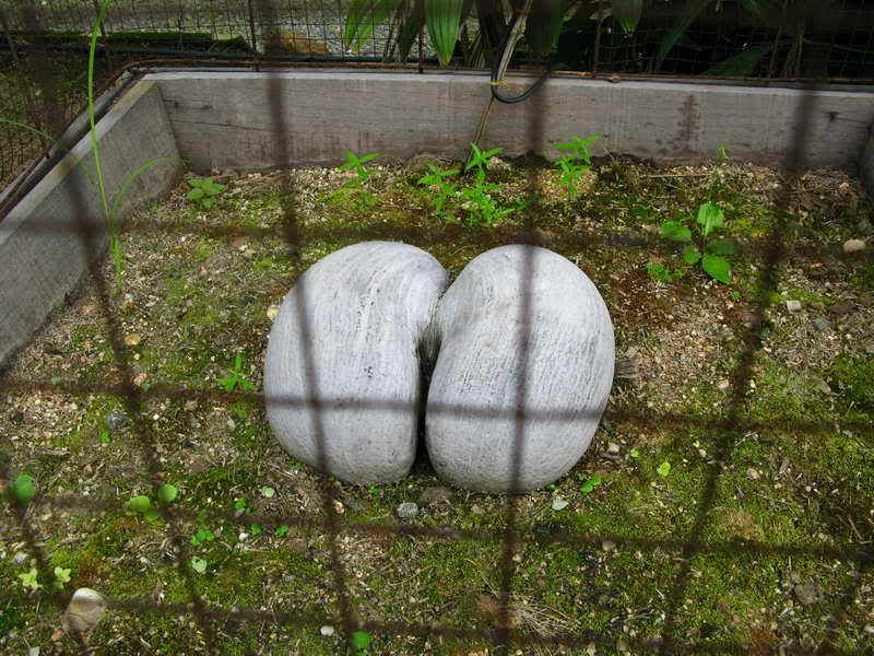 NongNooch_067.jpg
