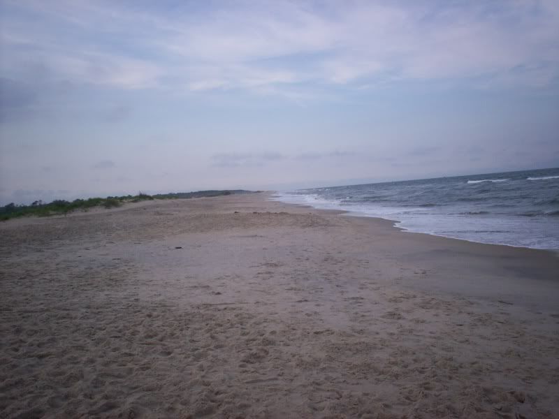 Beach6-09009.jpg