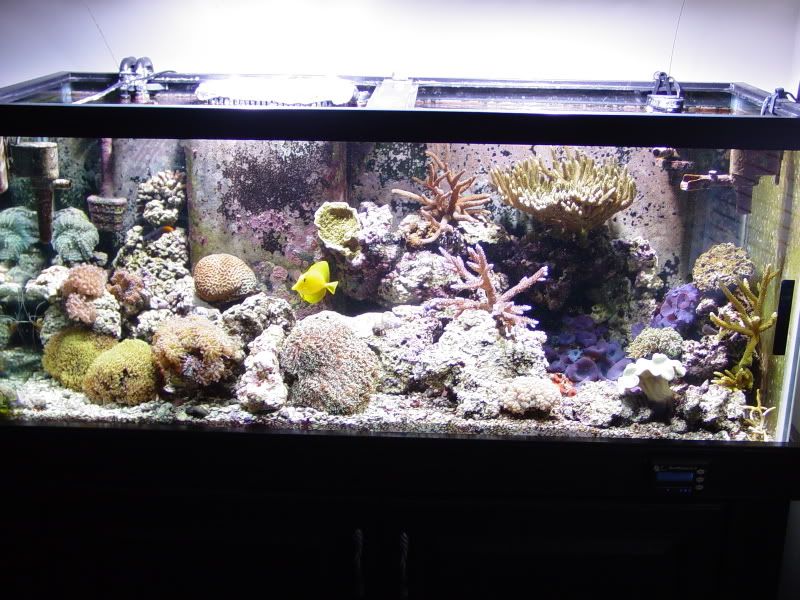 testpictures012.jpg