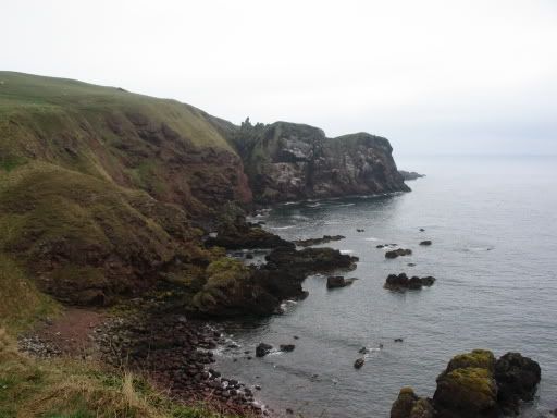 St. Abbs Head Rocks on North Sea Pictures, Images and Photos