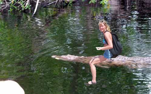 Here's a picture of my wife riding a crocodile up the Black River in 