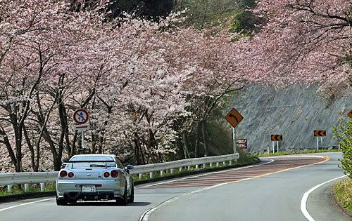 [Image: 21070130016_large.jpg]